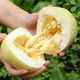 Gagatian Northeastern cantaloupe seeds, yellow melon fruit seeds, easy to grow in spring and autumn, high sugar content, old farm varieties, Gagatian seeds, 2 packs, about 200 capsules