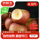 Jingxiansheng Sichuan Daliangshan Ugly Apple 4.5 Jin Jin equals 0.5 kg, single fruit size 75-80mm, seasonal fruit, straight from the source