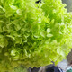 Hydrangea dried flower bouquet decorative flower material fruit green