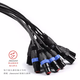 Multi-core signal cable stage performance multi-channel audio sound signal cable cable car mobile signal cable XLR cable A12M-5012 road 50 meters other lengths