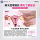 Jianbu Pharmaceutical Warming Patch to regulate uterine cold and warm baby patch, self-heating uterine warming patch for aunts during menstruation period, pain relief warm uterine patch