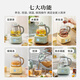 Beiding (Buydeem) health kettle all-glass kettle self-operated multi-functional stew kettle teapot all-in-one office home thermostatic kettle electric kettle 1.2L FK571 small goose yellow + tea basket
