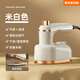 Fat Donglai Handheld Garment Ironing Mechanical and Electric Iron Mini Portable Direct Plug Electric Small for Business Travel and Travel Green-Flat Garment Ironing Dual-Purpose European Regulation