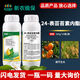 24 table high brassinolide brassinolide brassinolide wheat cucumber citrus plant growth regulator 500g