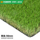 Co-create lawn, co-create artificial grass 10 square meters plastic turf, kindergarten gym greening outdoor courtyard school football field fake grass 30mm thickened encryption upgrade (autumn grass)