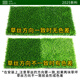 Fake turf simulated lawn green carpet outdoor artificial plastic artificial bionic outdoor insulation fence football field 2 cm newly upgraded encrypted high-quality spring grass 4.5 square meters 1.5 meters wide * 3 meters long