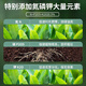 Deli nutrient soil 3L universal organic vegetable soil and flower soil gardening green plant flowers potted potting matrix soil