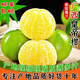 Cherry Fresh Authentic Guangxi Emperor Mandarin Fresh Fruit Orange Seasonal Whole Box with Thin Skin and Juicy 3Jin Jin is equal to 0.5kg Selected Pack Single Fruit 55mm+ Net 2.5Jin Jin is equal to 0.5kg