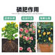 High calcium phosphate fertilizer powder superphosphate flower inducing fertilizer gardening fruit and vegetable potted general chemical fertilizer phosphorus and potassium fertilizer factory direct hair powdered high calcium phosphate fertilizer/superphosphate superphosphate high calcium phosphate fertilizer 5.0Jin Jin equals 0.5kg