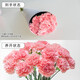 Exclusive for live broadcast, 20 random single-headed carnations, 38 goddess Women’s Day gift flowers, 1 set