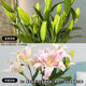 Perfume Lily Flower Shop's Same Style Chinese Valentine's Day Gift Flowers Yunnan Kunming Base Straight Hair Mix and Fresh Cut Flowers 9 Lily Pink Flowers (Unspecified Variety)