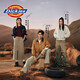 Dickies Tian Jiarui's same style, Zeng Keni's same style, men's sneakers, low-top casual shoes, work shoes, yellow brown 41