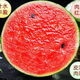 National 2k watermelon seeds thin-skin gift small watermelon pearl red watermelon non-split melon early spring ruby watermelon seeds 2K watermelon seeds/pack about 50 pieces 3 packs