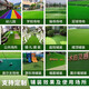 Fake turf simulated lawn green carpet outdoor artificial plastic artificial bionic outdoor insulation fence football field 2cm encrypted high-quality spring grass 1.5m wide 1m long