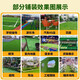 Simulated lawn, artificial artificial plastic, fake turf carpet, green fence decoration, bedding, balcony outdoor kindergarten, 2.5 cm encrypted high-quality spring grass, 95% of customers choose it, 1 meter wide x 5 meters long