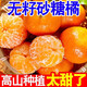 正宗广西砂糖橘沙糖桔新鲜水果当季蜜桔桂林橘子贡柑整箱 带箱1斤 小果（30-40mm）