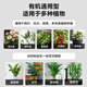 Deli nutrient soil 3L universal organic vegetable soil and flower soil gardening green plant flowers potted potting matrix soil