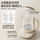 Bear Mini Health Pot Health Pot Tea Kettle Tea Maker Electric Kettle Thickened Glass Kettle Office Portable Constant Temperature Water Boiling YSH-D08T8 0.8L Hot Selling New Product
