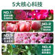 Three yuan mulching Hefei household flower fertilizer general type mulching Hefei vegetable agricultural vegetable slow-release fertilizer potted nitrogen, phosphorus and potassium general type for vegetables and flowers 50Jin Jin is equal to 0.5kg, balanced nutrition, significant effect