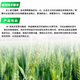 28 table high brassinolide plant growth regulator to protect flowers and fruit trees Yuntai lactone foliar fertilizer pesticide 500g*5 bottles