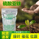 Ferrous sulfate is a special acidic soil for growing flowers. Universal anti-yellowing plant, fruit tree iron tree, improved alkalinity. Universal type. Prevents and treats yellow leaf disease + increases chlorophyll + adjusts pH (high-efficiency enhanced type) 450g universal type.