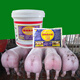 Kuadasu pig feed premix, fattening concentrate additive for pigs, eat more and reduce feces. 1 barrel (for large pigs) comes with 3 packs, 33 packs in total.