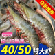Jiang Qigong Fresh Sea-caught Extra Large White Shrimp Ecuadorian White Shrimp Frozen seafood kept fresh with ice Four Jin Jin is equal to 0.5 kg, packed Four Jin Jin is equal to 0.5 kg, packed large white shrimp 12-16 cm