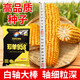 Zhangye, Gansu Wholesale high-yielding national-approved Zhengdan 958 corn seeds, short stems, large sticks, lodging resistance, disease and insect resistance Zhengdan 958 national-approved corn seeds 3 Jin Jin equal to 0.5 kg 1 bag