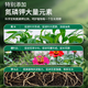 Gardening bone meal flower fertilizer to promote flower cultivation, high phosphorus and high potassium, defatted for flowering and growing vegetables, organic plant bone meal 100g