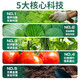 Diammonium Phosphate Compound Fertilizer Small Bag Fertilizer Household Vegetables, Flowers and Fruit Trees Potted General Compound Fertilizer Chemical Fertilizer 50Jin Jin equals 0.5kg Diammonium Phosphate