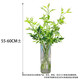 Nine-star leaf high-end Yunnan flowers water-grown fresh cut flowers Valentine's Day gift New Year's decoration flowers Nine-star leaf 1 bunch (8-10 branches)