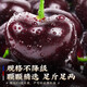 Jingyi Fresh Chilean Cherries Gift Box JD/SF Express Imported Cherry Fruit New Year's Day Gift Box 5Jin Jin equals 0.5kg (net weight) Gift Box 3J Grade 30-32mm