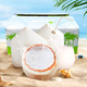Thai Perfume Green Coconut Fresh Coconut Juice Seasonal Fresh Fruit Pregnant Women Fruit Whole Box 1 Pack Single Fruit 650g+