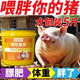 Ruixuanzhenpin Silly Eat Long-Length Pigs, Cattle and Sheep Used for Rapid Fattening and Weight Gain, Long-Longing and Longer Skeleton Feed Additive 2.5kg 5Jin Jin is equal to 0.5kg *1 barrel (can be mixed with 5000Jin Jin is equal to 0.5kg)