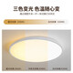 Chint (CHNT) ceiling lamp LED bedroom lamp balcony aisle lamp ultra-thin tri-proof lamp white light high-brightness lighting 24W positive white light