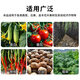 Or garden potassium sulfate compound fertilizer for vegetables, agricultural vegetable and fruit tree special fertilizer, flower growing fertilizer 5Jin Jin equal to 0.5kg