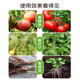 Or garden potassium sulfate compound fertilizer for vegetables, agricultural vegetable and fruit tree special fertilizer, flower growing fertilizer 5Jin Jin equal to 0.5kg