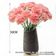 Exclusive for live broadcast, 20 random single-headed carnations, 38 goddess Women’s Day gift flowers, 1 set
