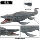 Yunya Kinderspielhaus großer Jurassic Hartkleber Dinosauriermodell hochwertiger Gummi-Tyrannosaurus Rex Tyrannosaurus Model Spielzeug großer Tyrannosaurus canglong (der Mund kann geschlossen werden)