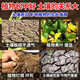 Zhixiaoye four-season no-till loosening essence soil hardening and loosening adjustment saline-alkali breathable pastoral greenhouse powerful universal genuine 1 bag imported raw materials - available on half an acre of land