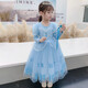 Spring and Autumn New Elsa Princess Dress Girls Dress Bow Printed Gauze Skirt Children's Puff Skirt Winter Plush Velvet Princess Skirt Single Skirt 120 cm