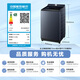 LittleSwan pulsator washing machine fully automatic home 12KG large capacity flat screen water magic cube anti-winding ultra-fine bubble cleaner TB12U2 trade-in national subsidy OCC