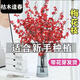 Full of blooms, red plum hydroponic fresh branches with buds, flowers and plants, indoor water-cultured dried wintersweet flowers, 60-70cm red plum fresh branches, 15 branches, a must-have in winter, with buds and nutrient solution