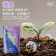 Shidijia Nitrogen Phosphorus Fertilizer Compound Fertilizer Ammonium Dihydrogen Phosphate Monoammonium Phosphate Fruit Tree and Vegetable Foliar Fertilizer Large Element Water-soluble Fertilizer Phosphate Fertilizer 1kg*20 Bags 2 Boxes