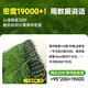 Simulated turf, artificial turf carpet, outdoor floor matting, football field artificial turf, plastic fake turf fence, Su Chao same style green backing adhesive, 3 cm thick, 20 stitches, 2 meters wide, several meters long, take a few pieces