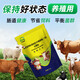 Live bacterial peptides for cattle and sheep to enlarge the skeleton and promote growth. Veterinary calves and lambs are enlarged and fattened. Feed additives 2 bags to supplement nutrition.