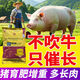 Meat pig feed additive multi-dimensional pig fattening and growth-promoting premix auxin for weight gain and fattening pigs second generation enhanced auxin for pigs 4Jin Jin equal to 0.5 kg package