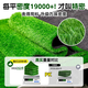 Simulated turf, artificial turf carpet, outdoor floor matting, football field artificial turf, plastic fake turf fence, Su Chao same style green backing adhesive, 3 cm thick, 20 stitches, 2 meters wide, several meters long, take a few pieces