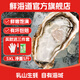 Fresh Seaway Fresh Rushan Oysters 5XL Net Weight 5Jin Jin is equal to 0.5kg 9-12 pcs Fresh Seafood and Shellfish Straight from the Source