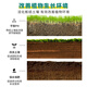 Soil Activator Loose soil, activate soil, prevent hardening, repair soil, promote plant root growth. Paiyifa 5 Soil Activator
